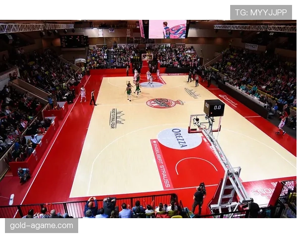 国际篮联与NBA的干扰球规则有何不同？带你一窥关键区别